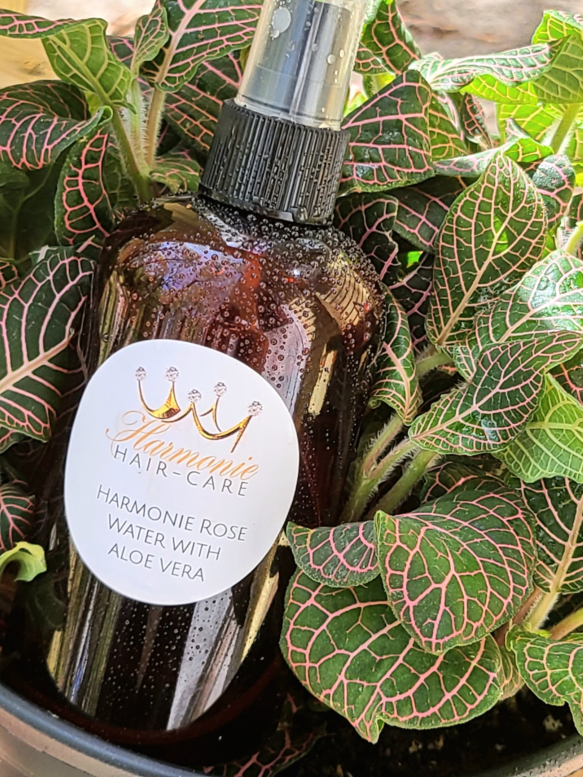 aloe vera plant juice for hair Rose Water with Aloe Vera Juice – Harmonie Hair Care